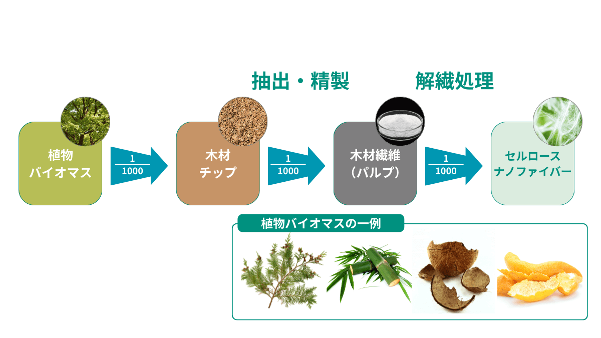セルロースナノファイバーの制作工程