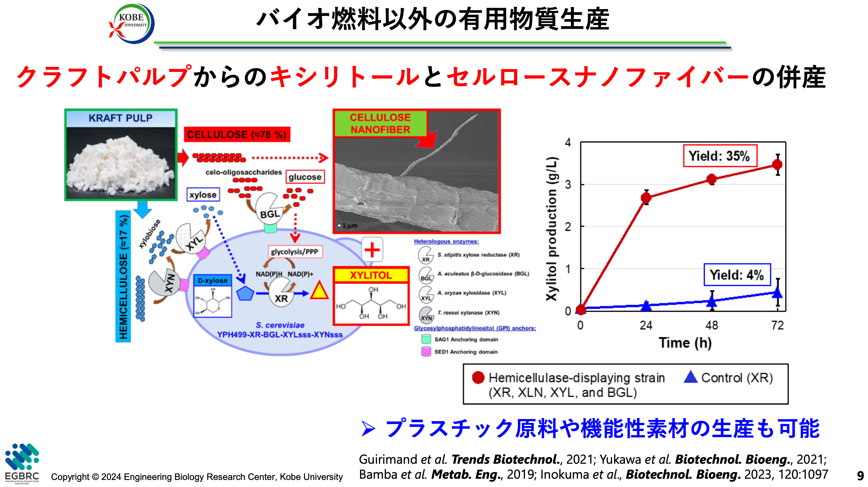 バイオ燃料以外の有用物質生産
