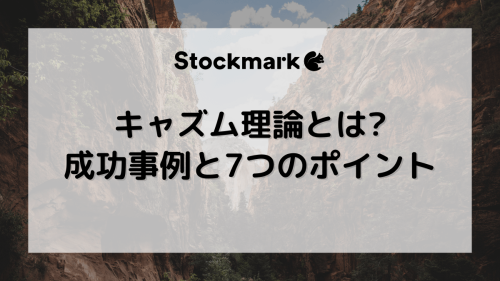 キャズム理論とは