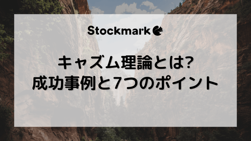キャズム理論とは