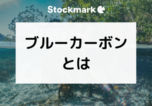 ブルーカーボンとは何か？取り組み事例やメリット・効果について解説