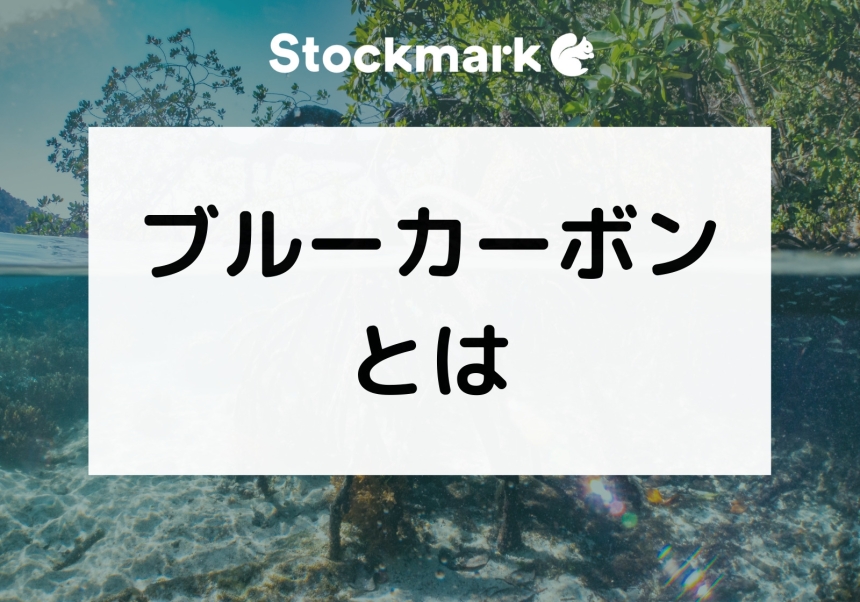 ブルーカーボンとは何か？取り組み事例やメリット・効果について解説